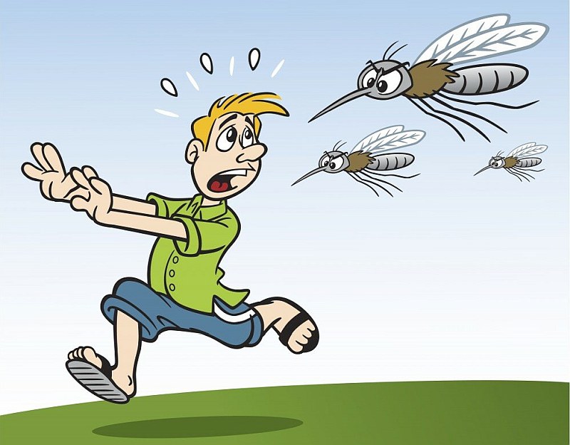 бегущий от комаров